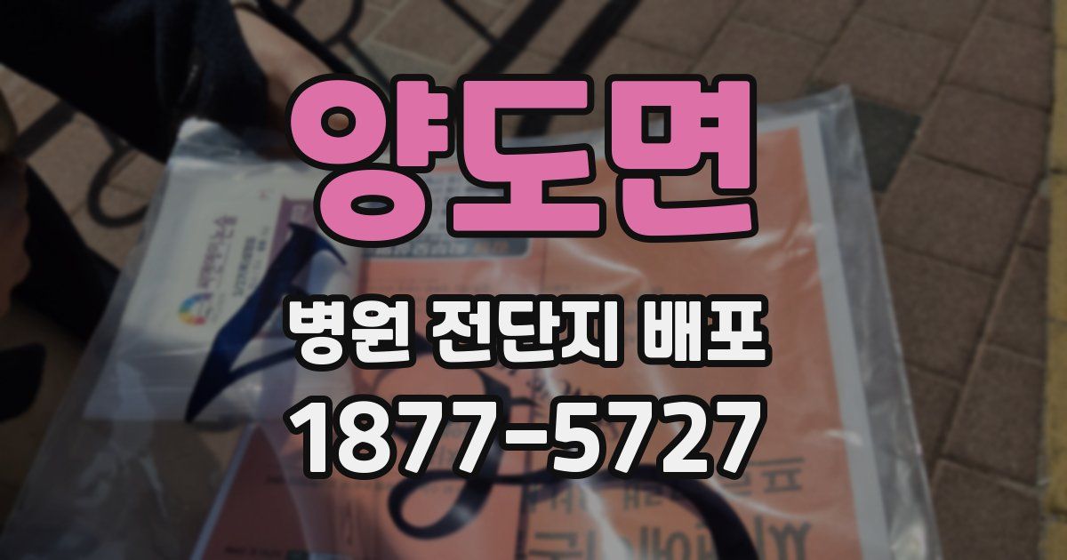 양도면 병원 전단지 배포