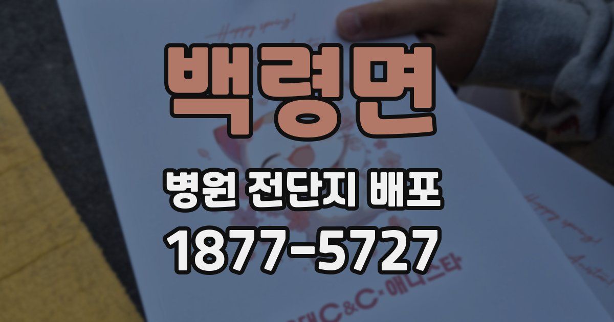 백령면 병원 전단지 배포