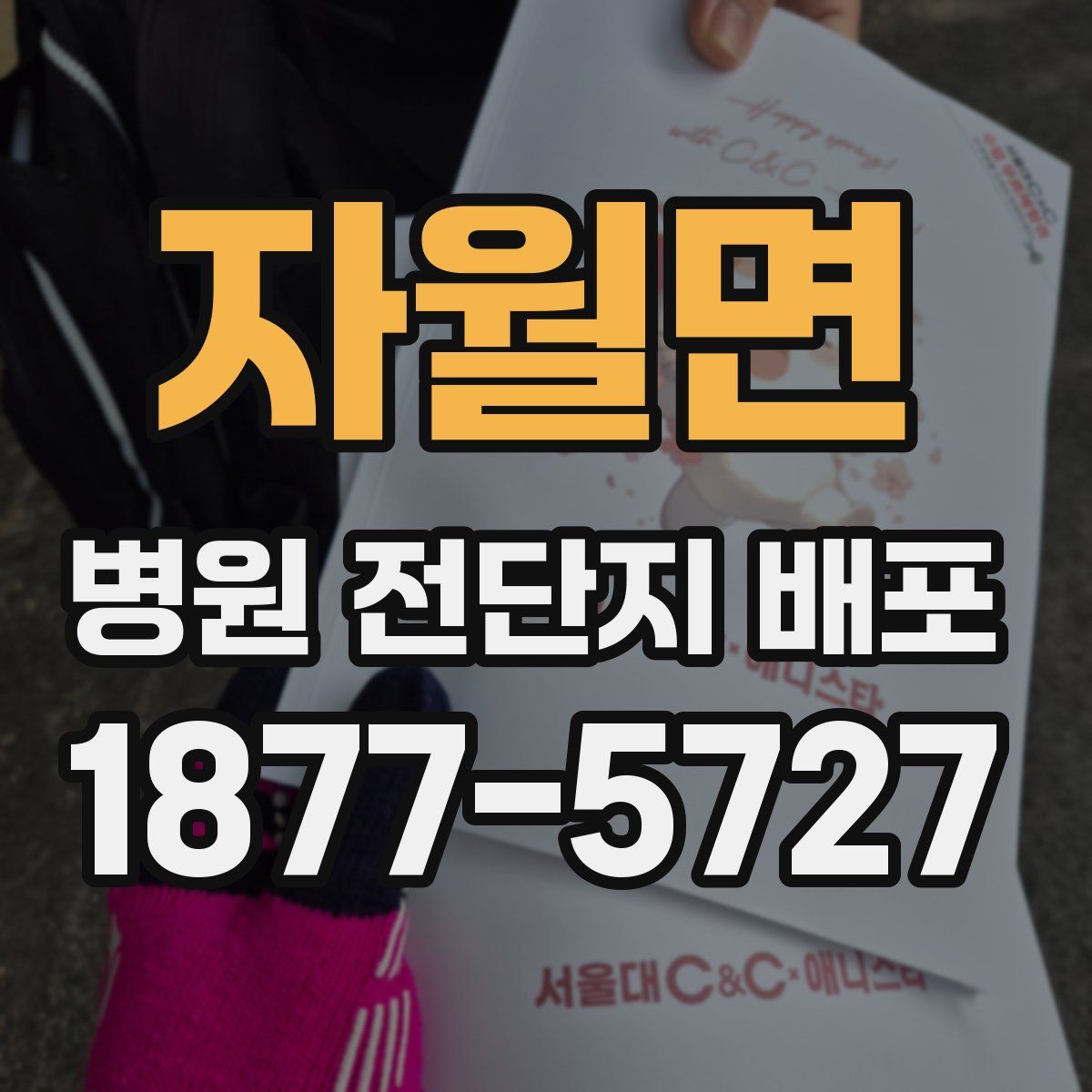 자월면 병원 전단지 배포
