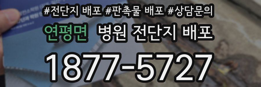 연평면 병원 전단지 배포