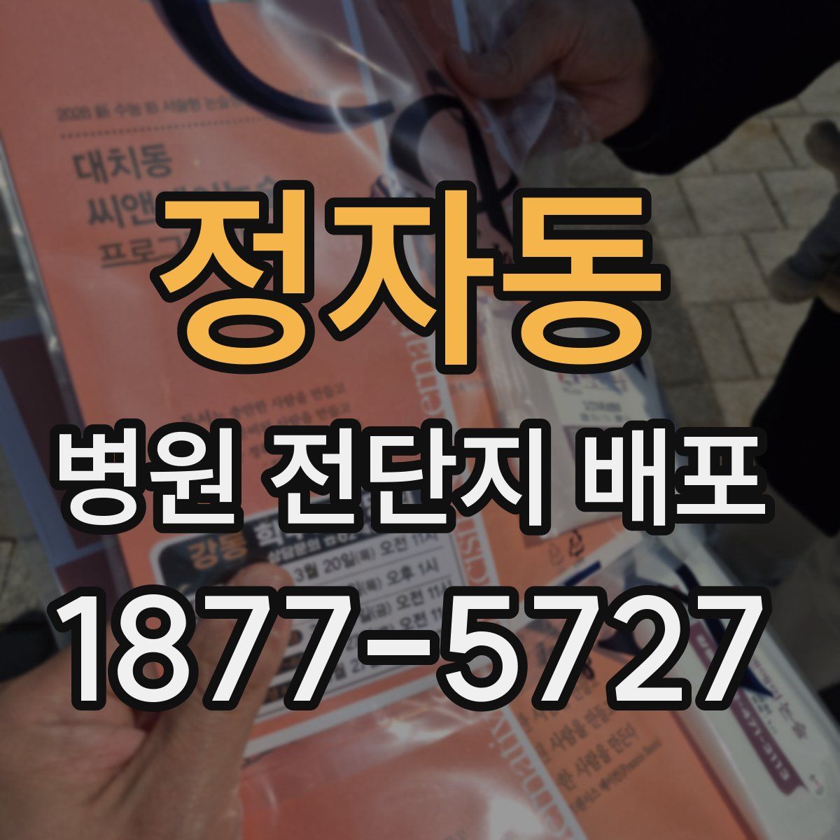 정자동 병원 전단지 배포
