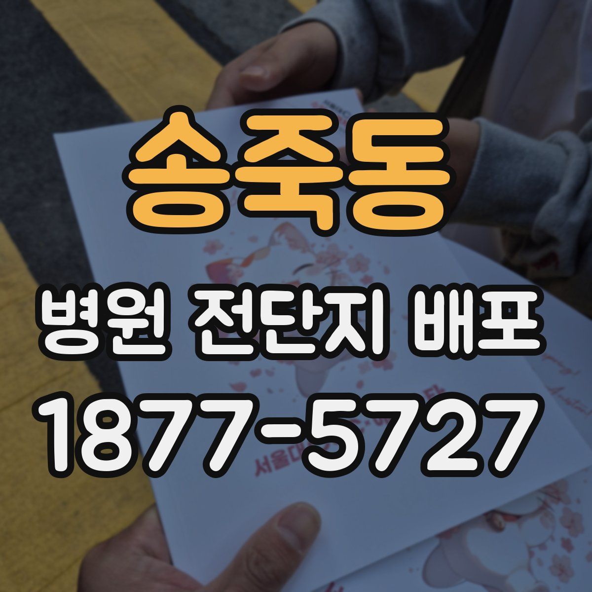 송죽동 병원 전단지 배포