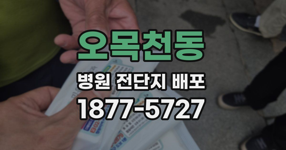 오목천동 병원 전단지 배포