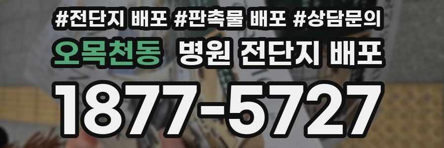 오목천동 병원 전단지 배포