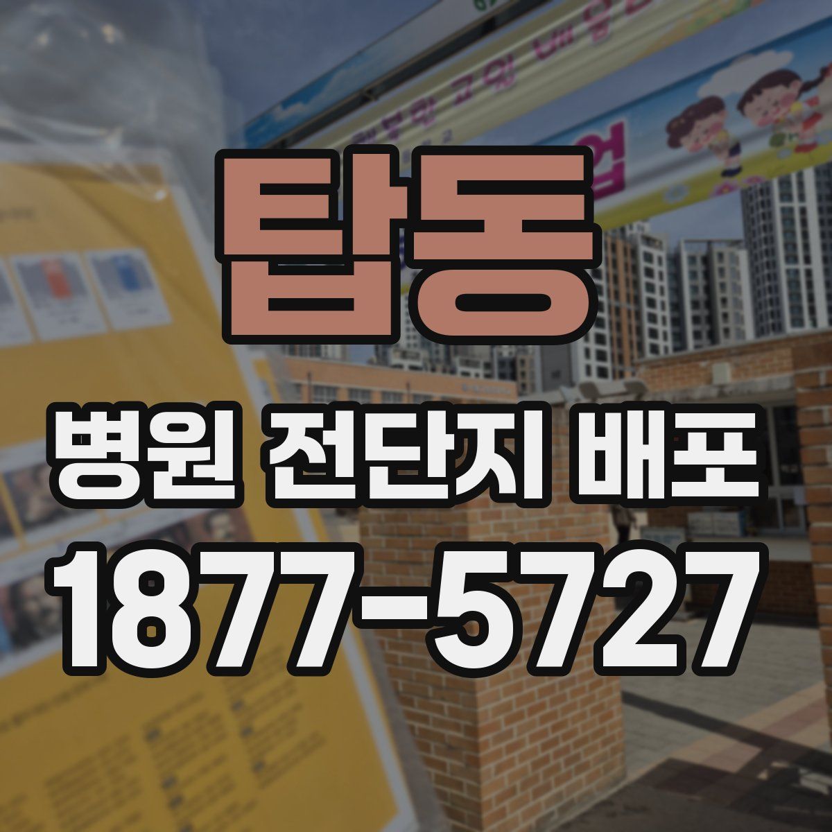탑동 병원 전단지 배포