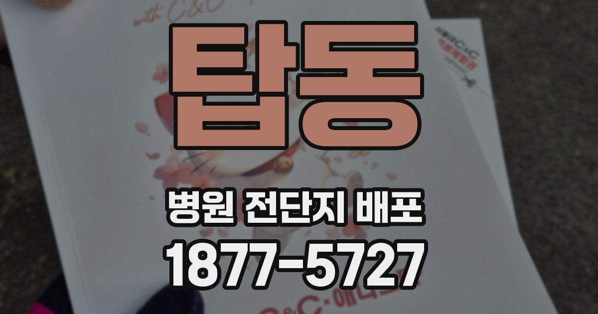 탑동 병원 전단지 배포
