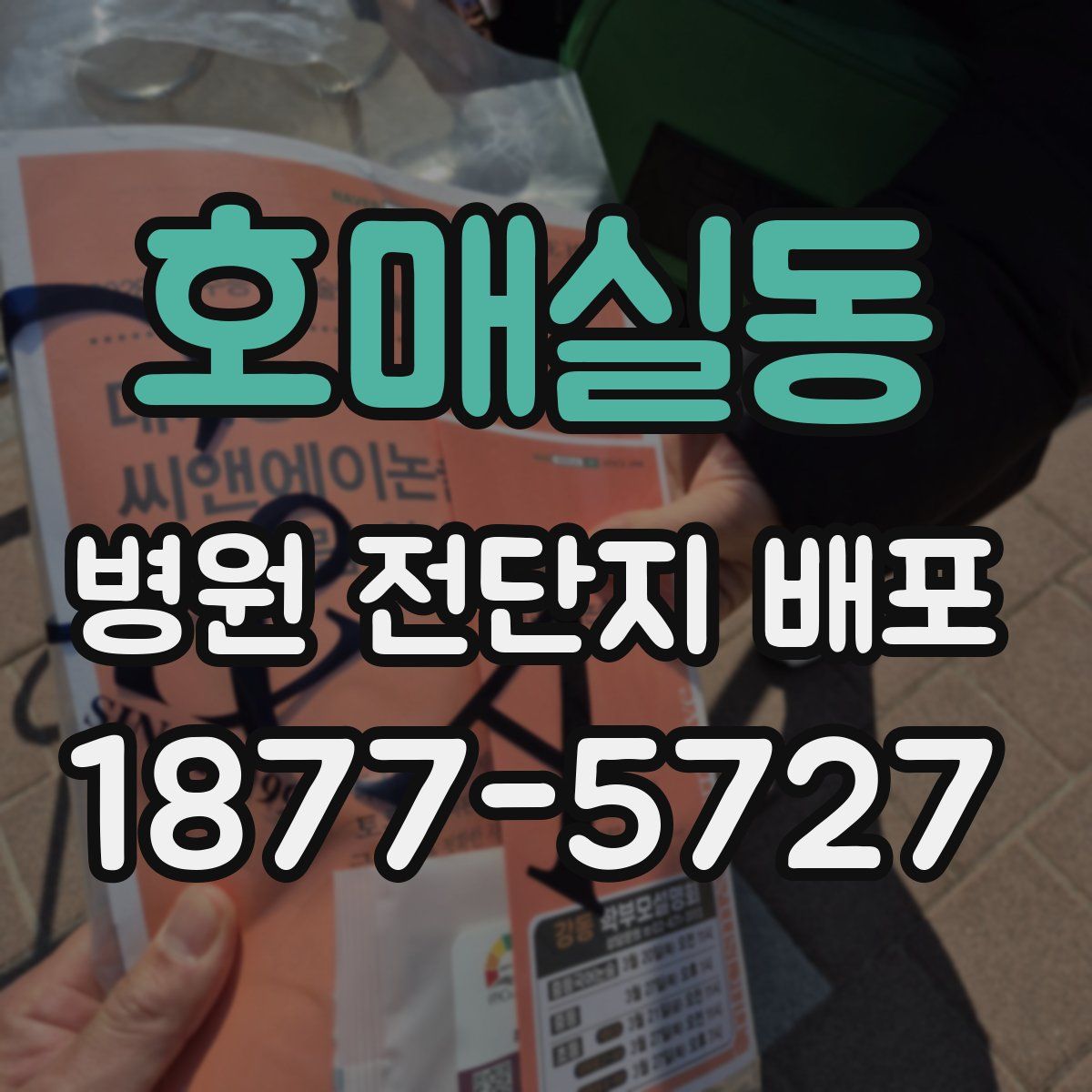 호매실동 병원 전단지 배포