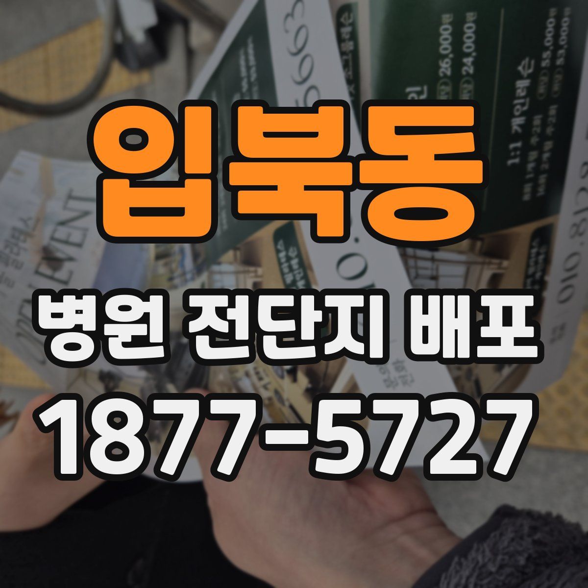 입북동 병원 전단지 배포