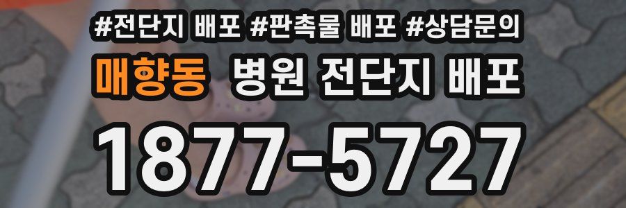 매향동 병원 전단지 배포