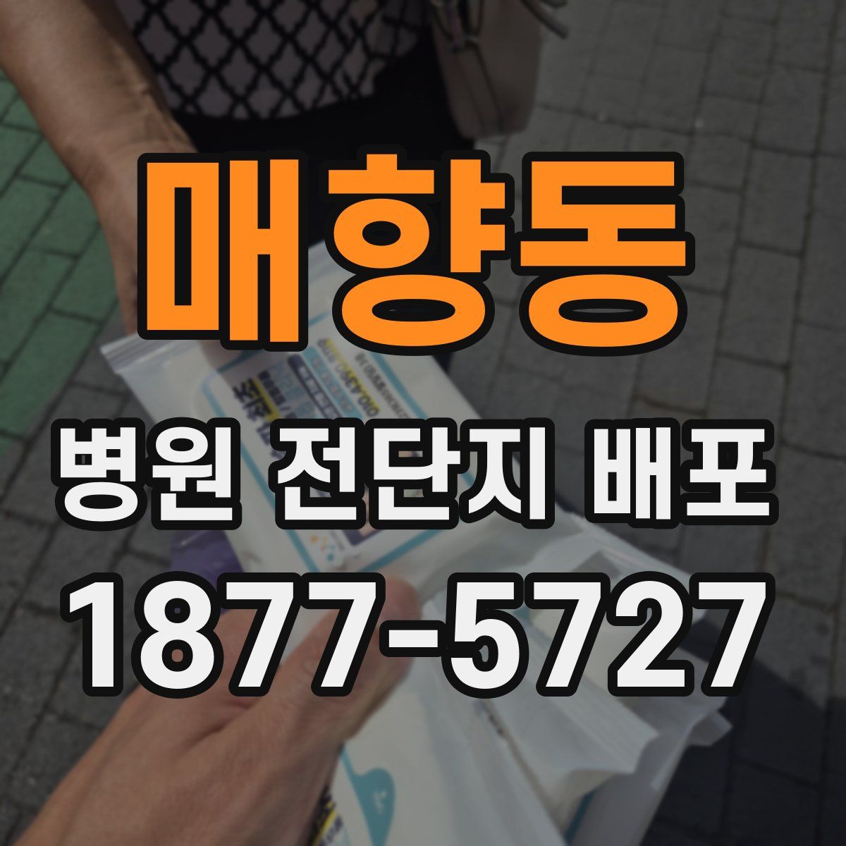 매향동 병원 전단지 배포