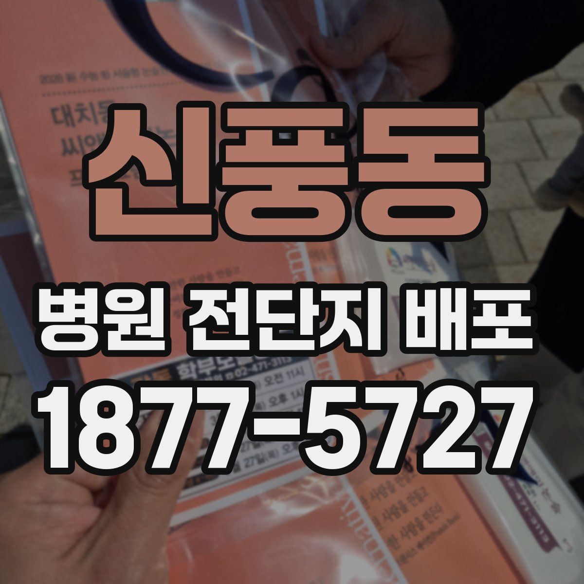 신풍동 병원 전단지 배포