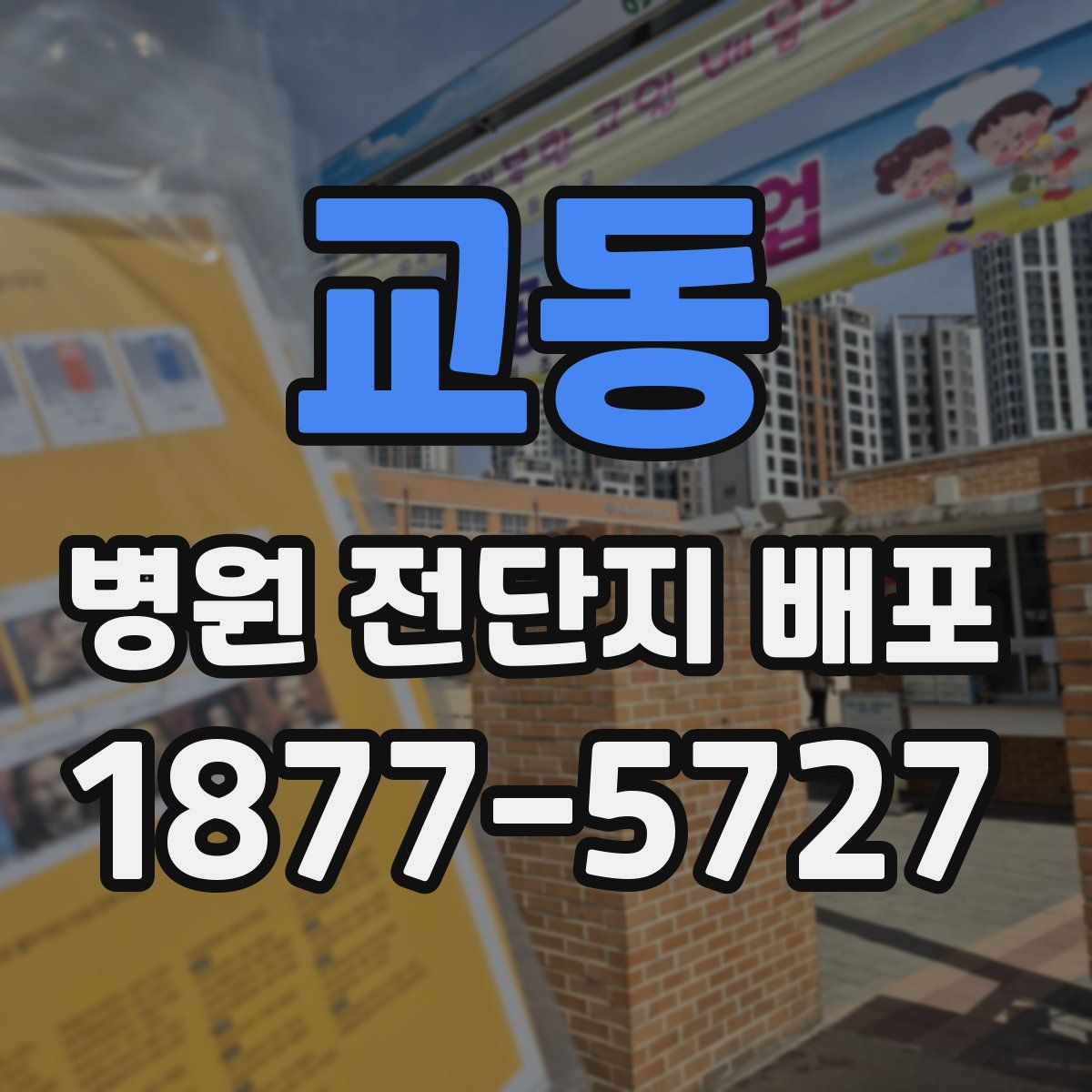 교동 병원 전단지 배포