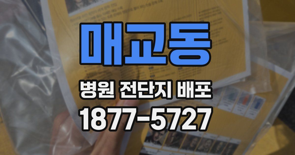 매교동 병원 전단지 배포