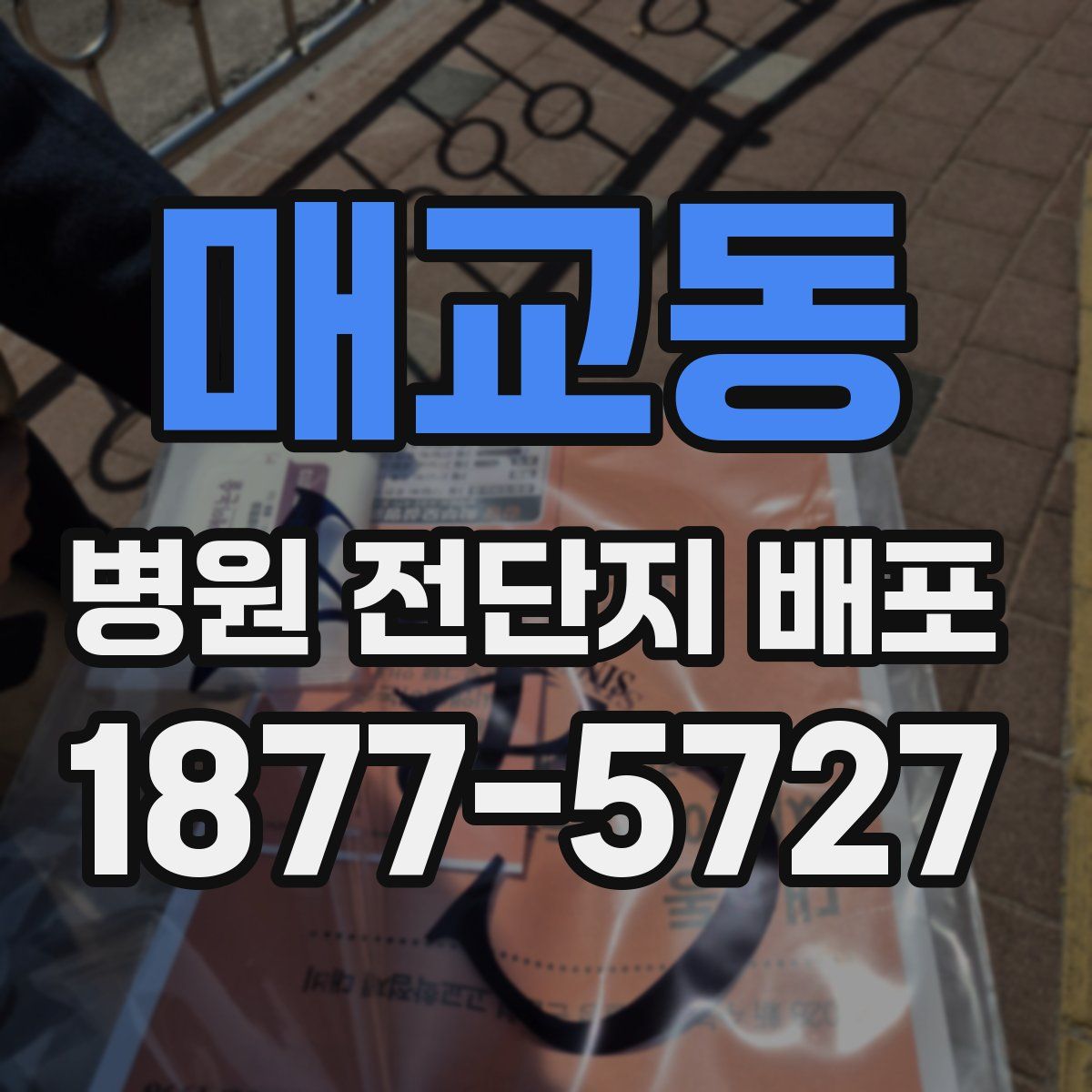 매교동 병원 전단지 배포