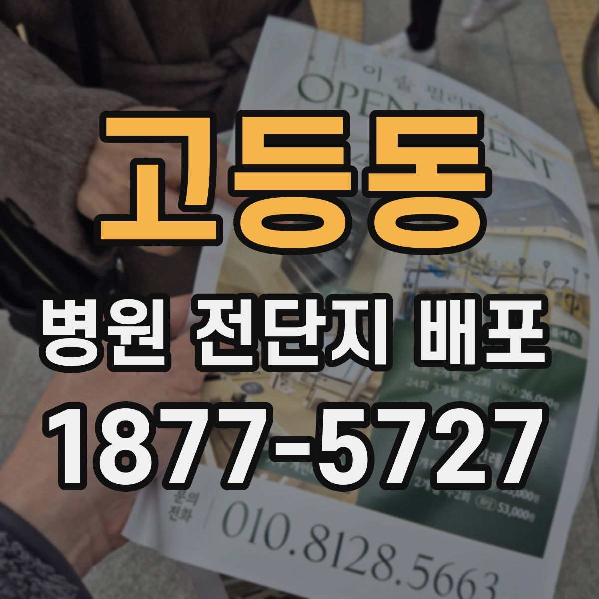고등동 병원 전단지 배포