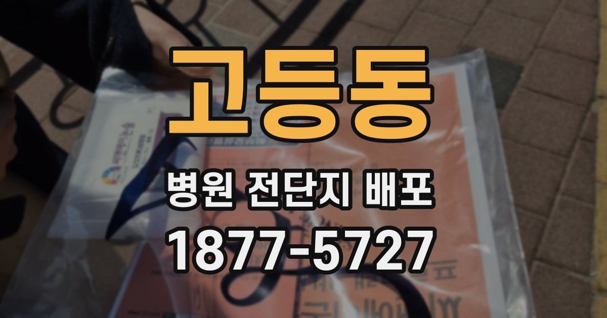 고등동 병원 전단지 배포