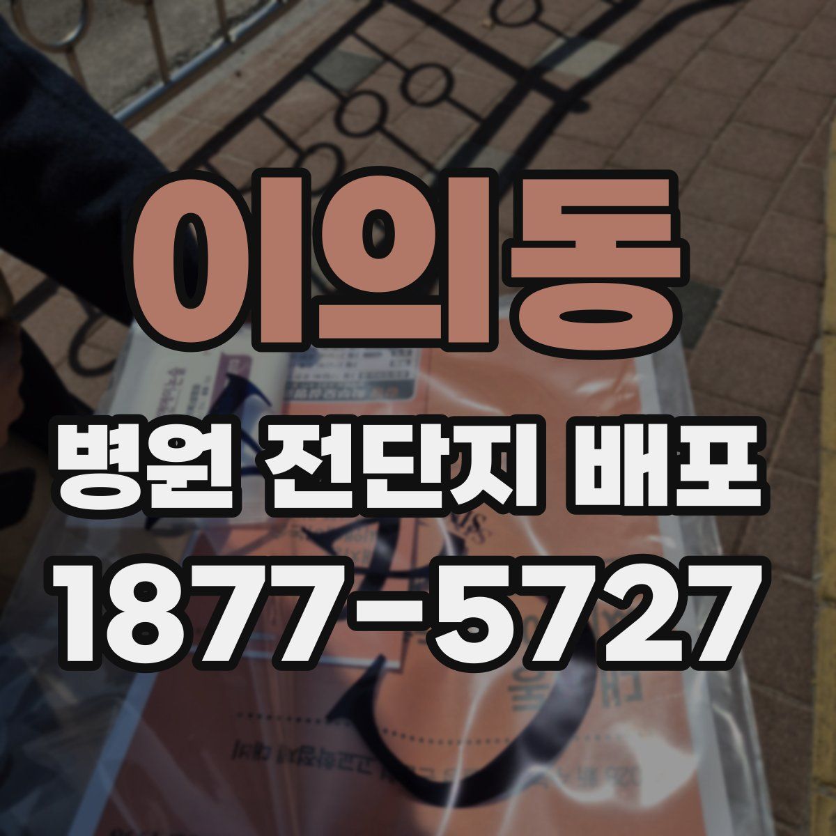 이의동 병원 전단지 배포