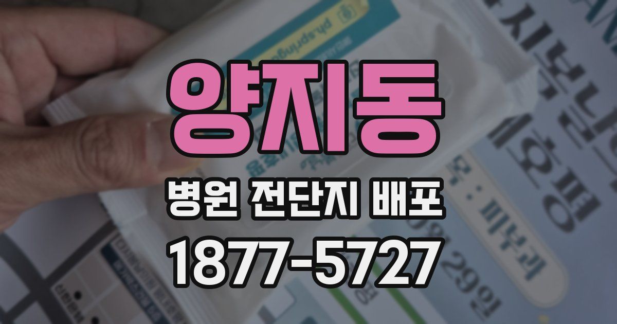 양지동 병원 전단지 배포