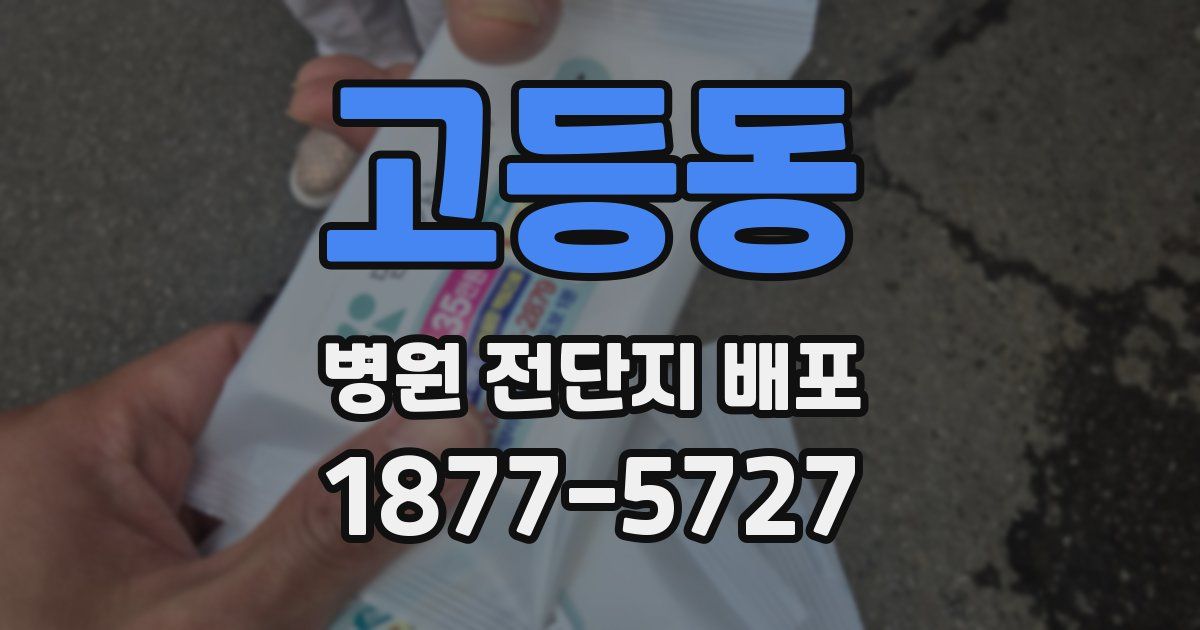 고등동 병원 전단지 배포