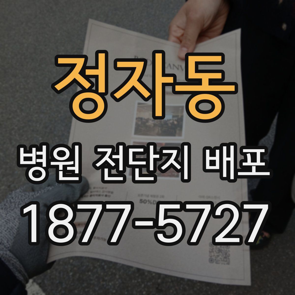 정자동 병원 전단지 배포