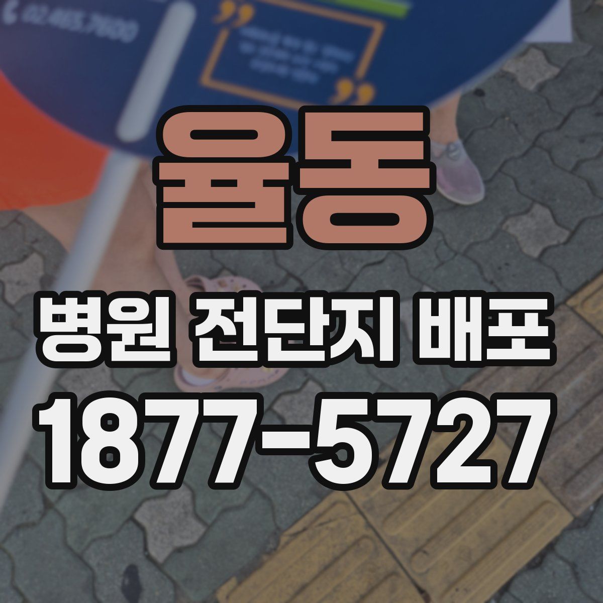 율동 병원 전단지 배포