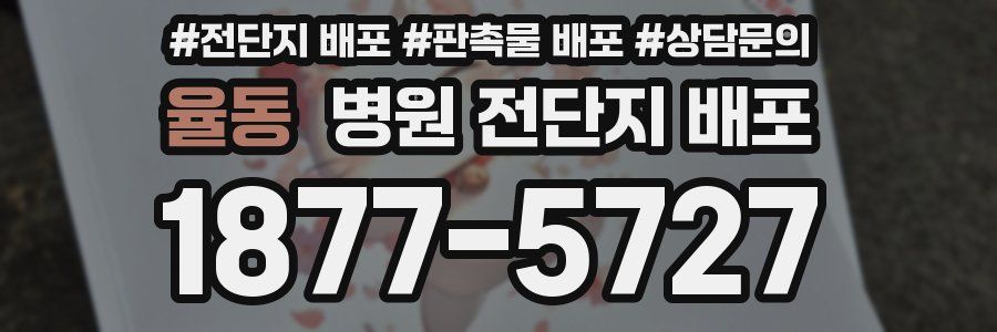 율동 병원 전단지 배포
