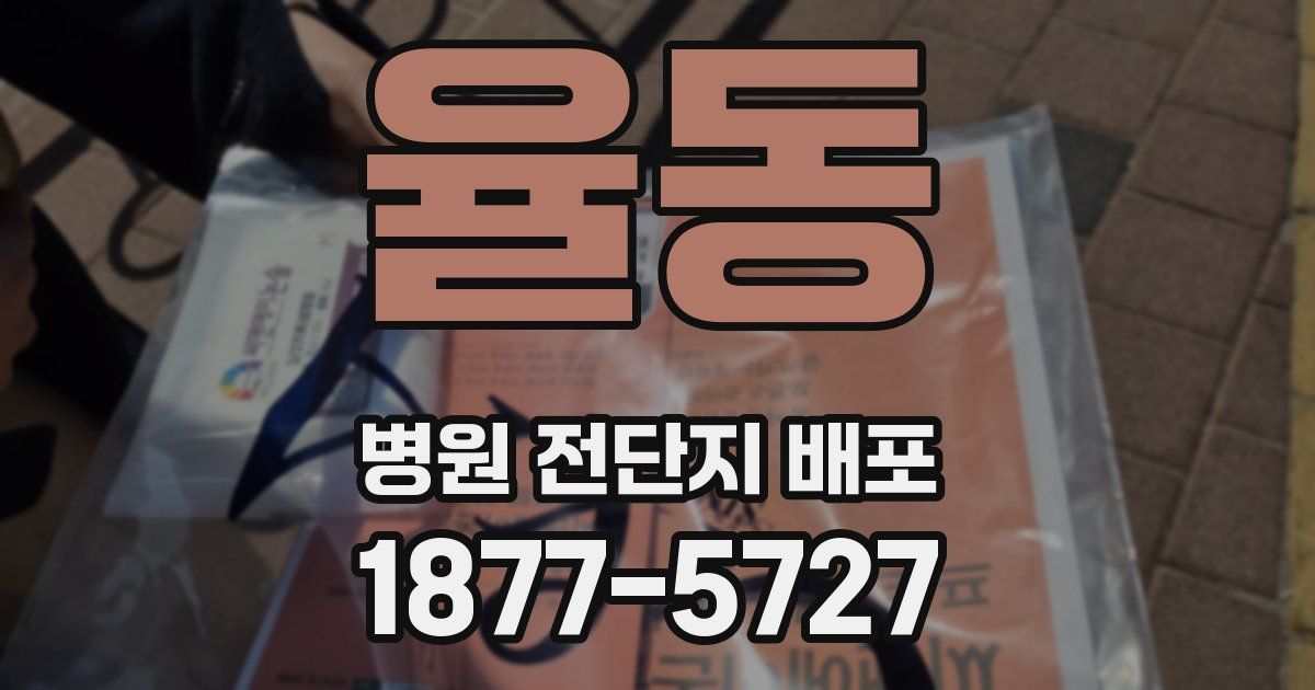 율동 병원 전단지 배포