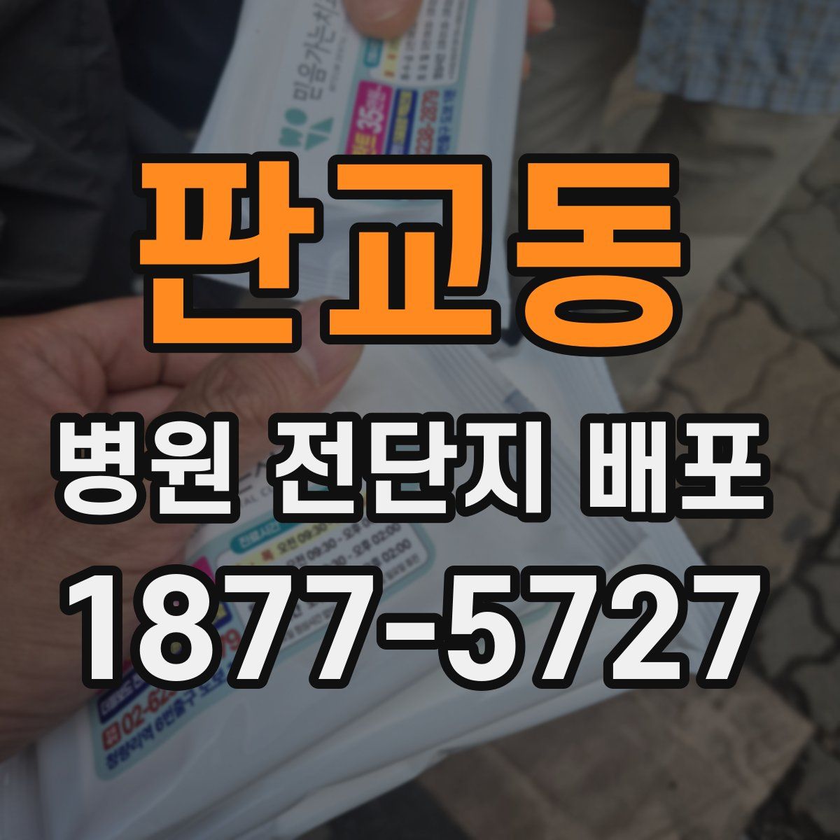 판교동 병원 전단지 배포