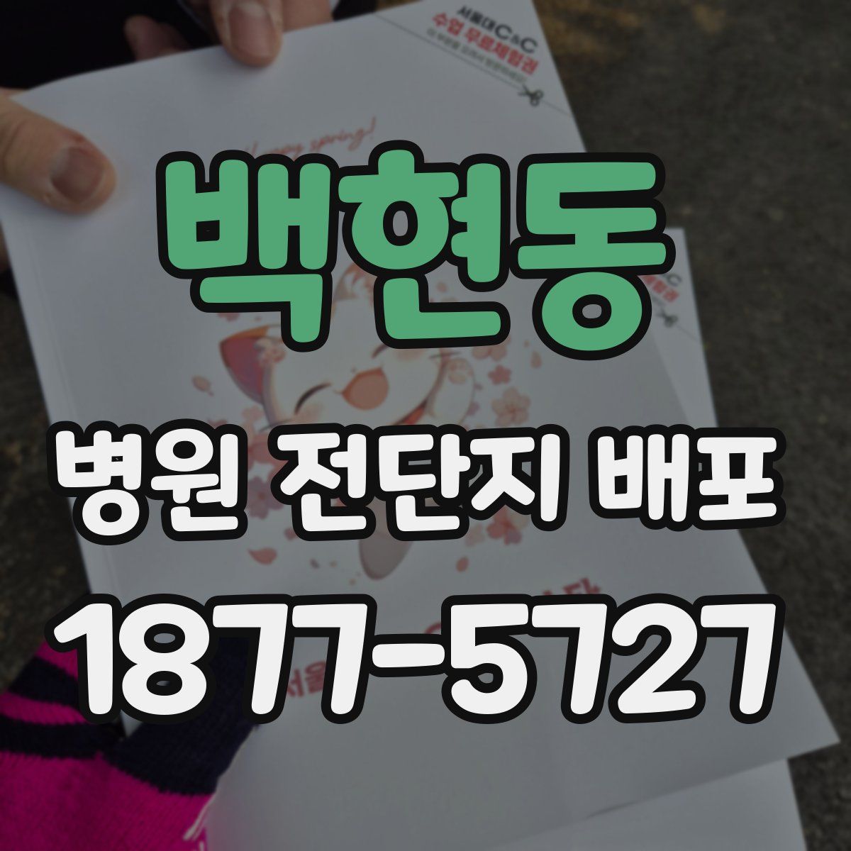 백현동 병원 전단지 배포