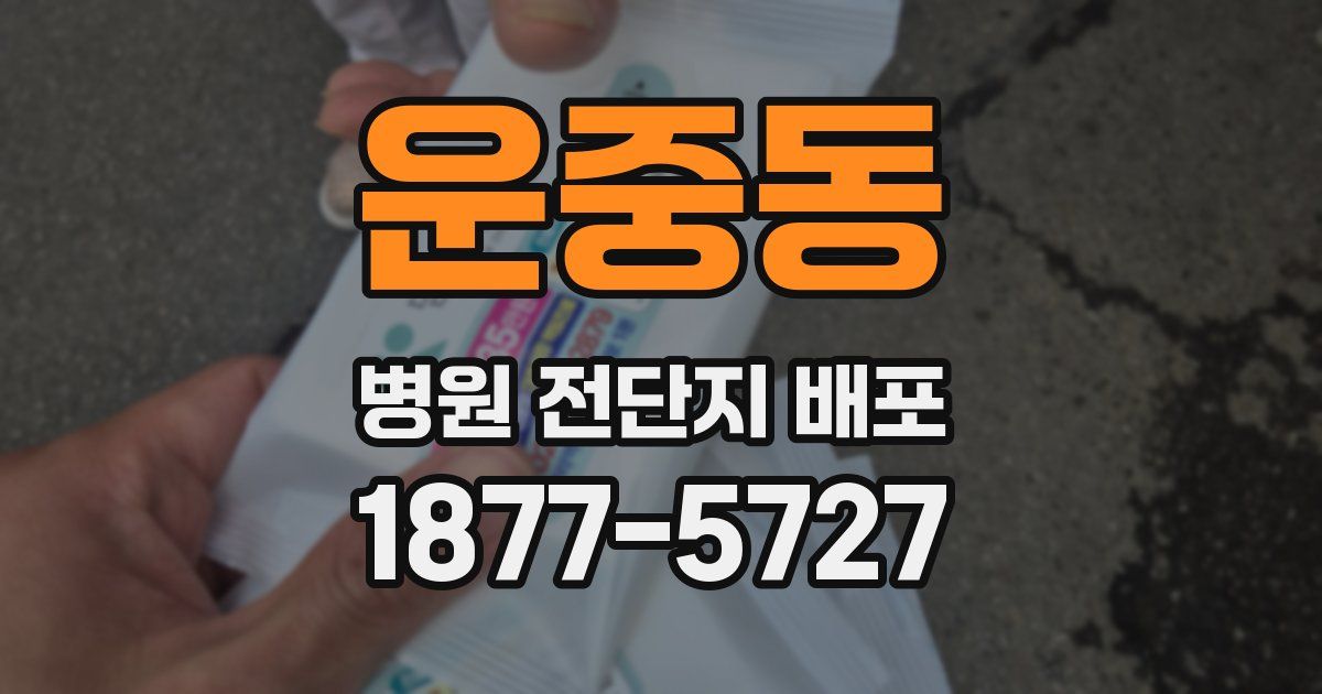 운중동 병원 전단지 배포