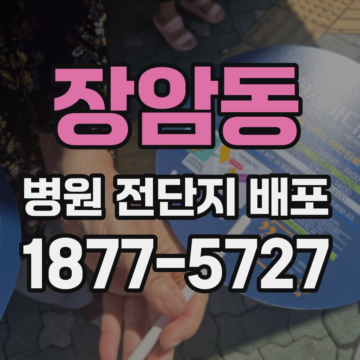 장암동 병원 전단지 배포