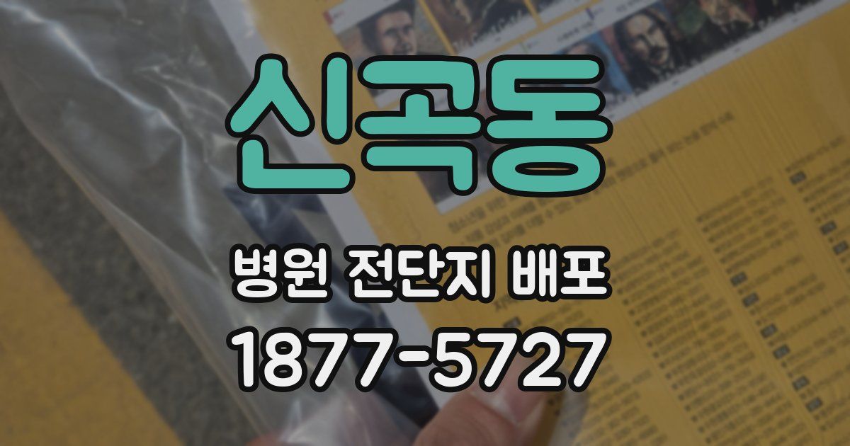 신곡동 병원 전단지 배포