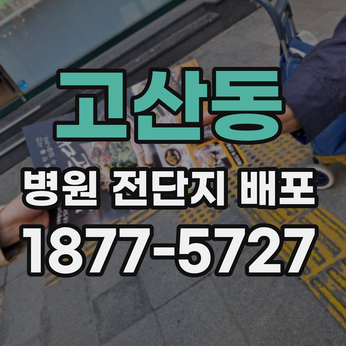 고산동 병원 전단지 배포