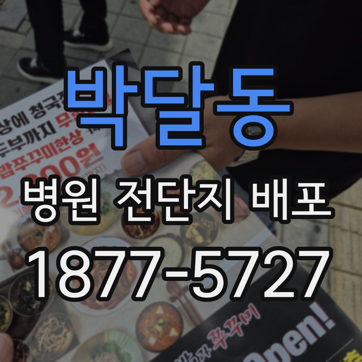 박달동 병원 전단지 배포
