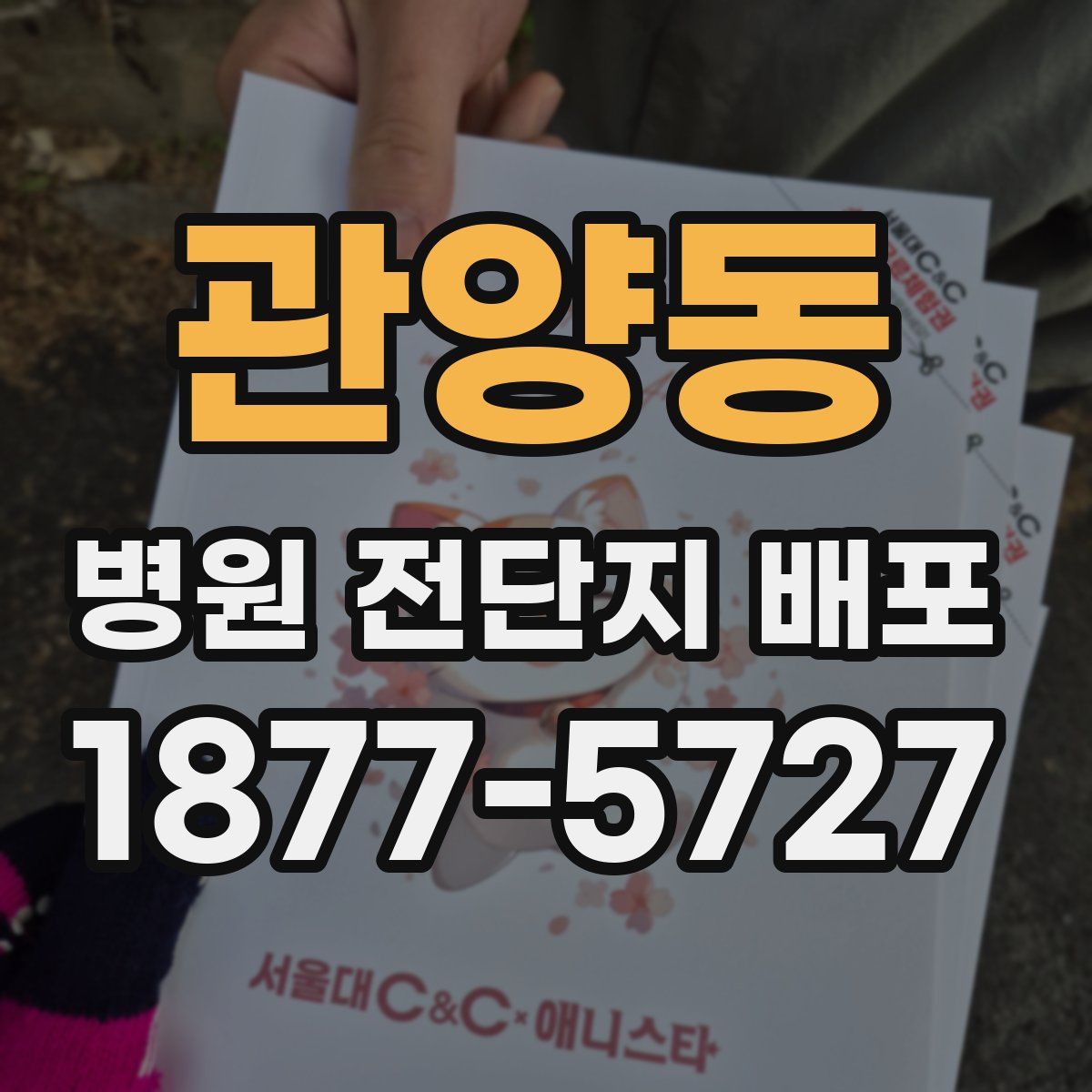 관양동 병원 전단지 배포