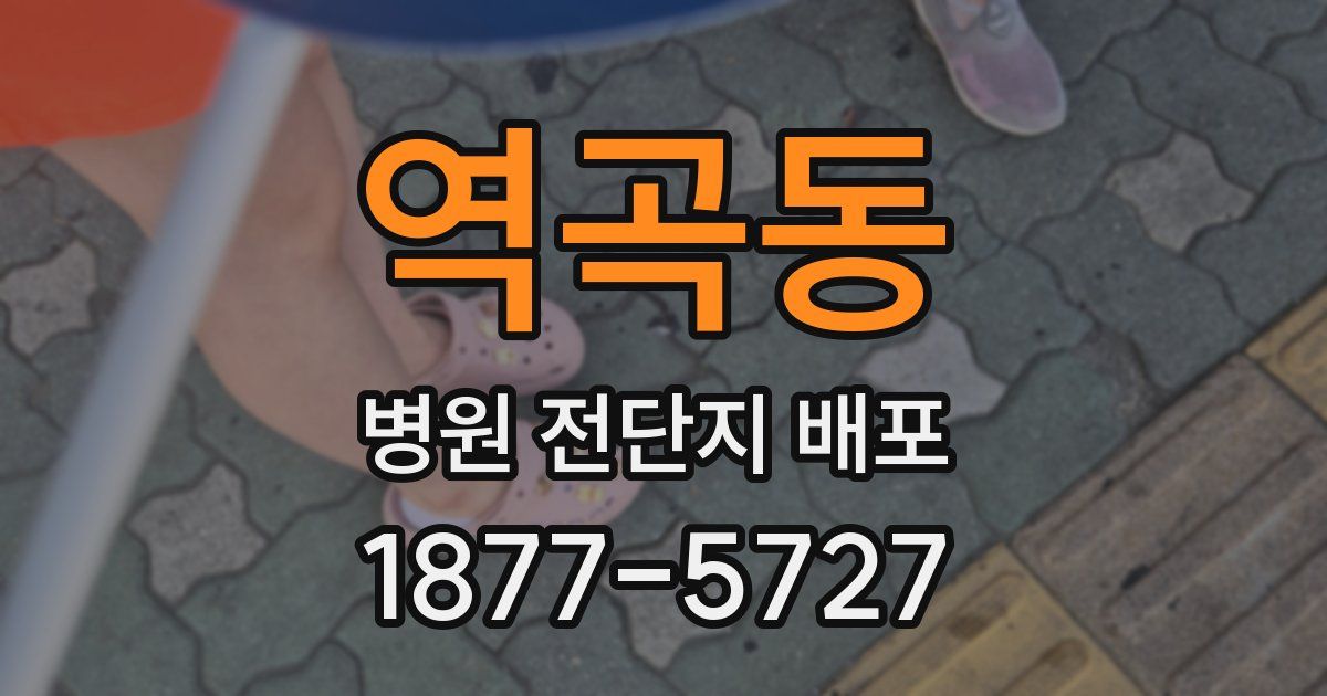 역곡동 병원 전단지 배포