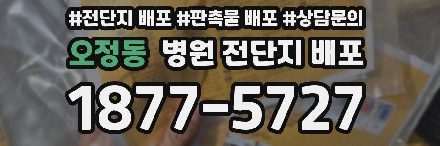 오정동 병원 전단지 배포