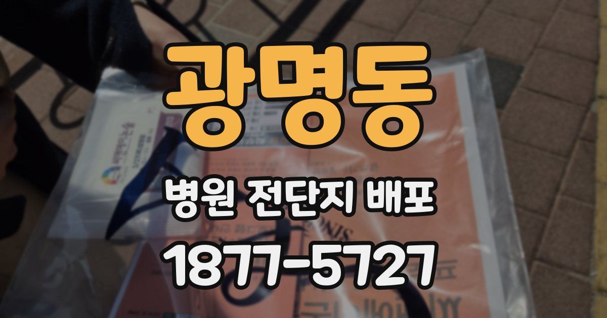 광명동 병원 전단지 배포