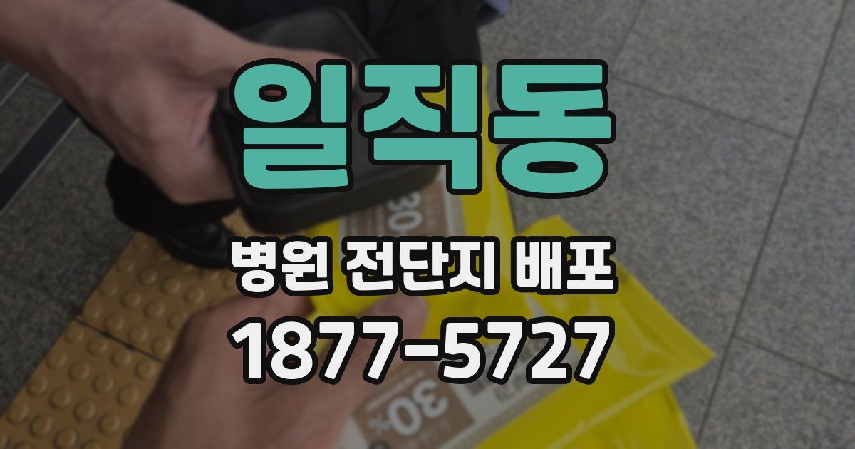 일직동 병원 전단지 배포