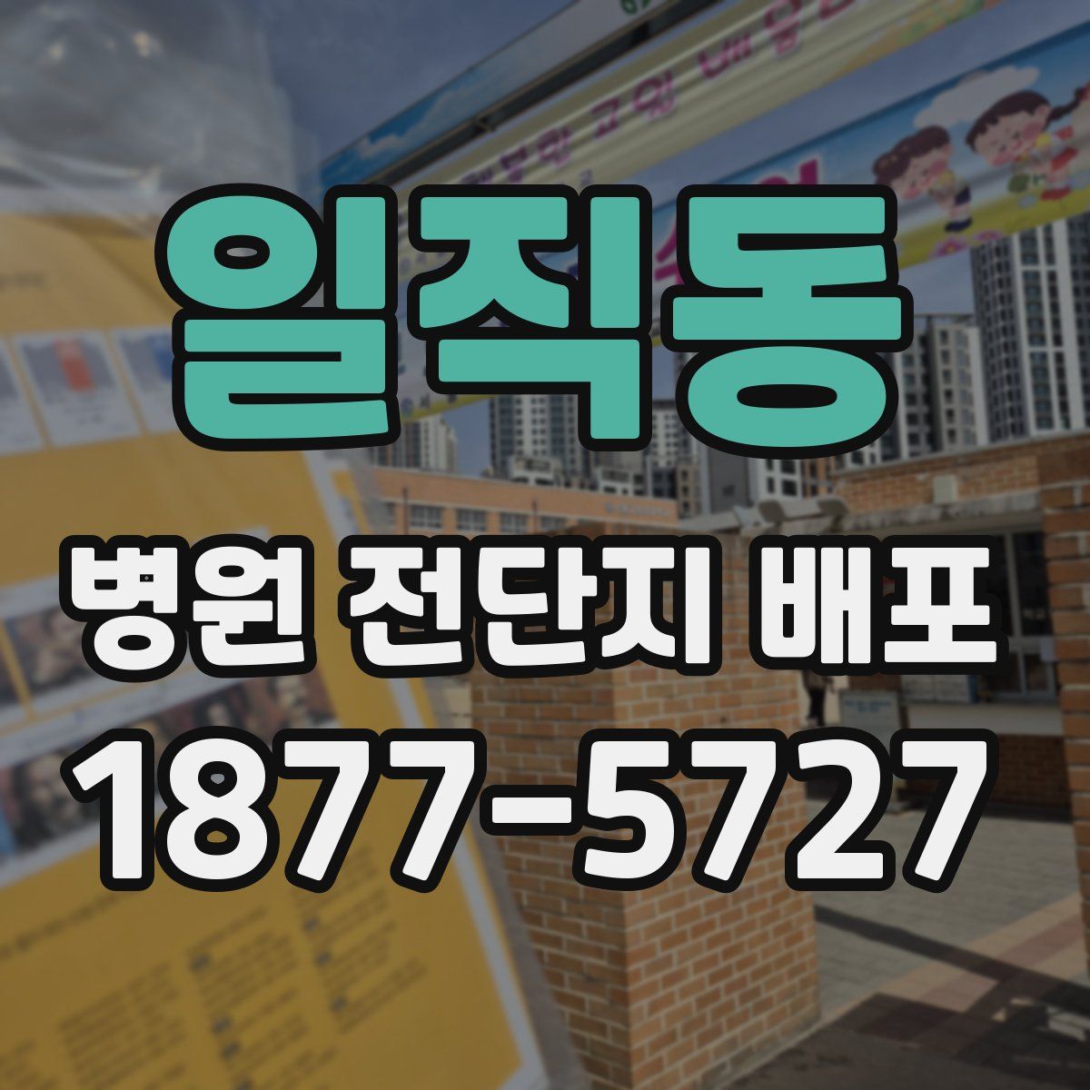 일직동 병원 전단지 배포