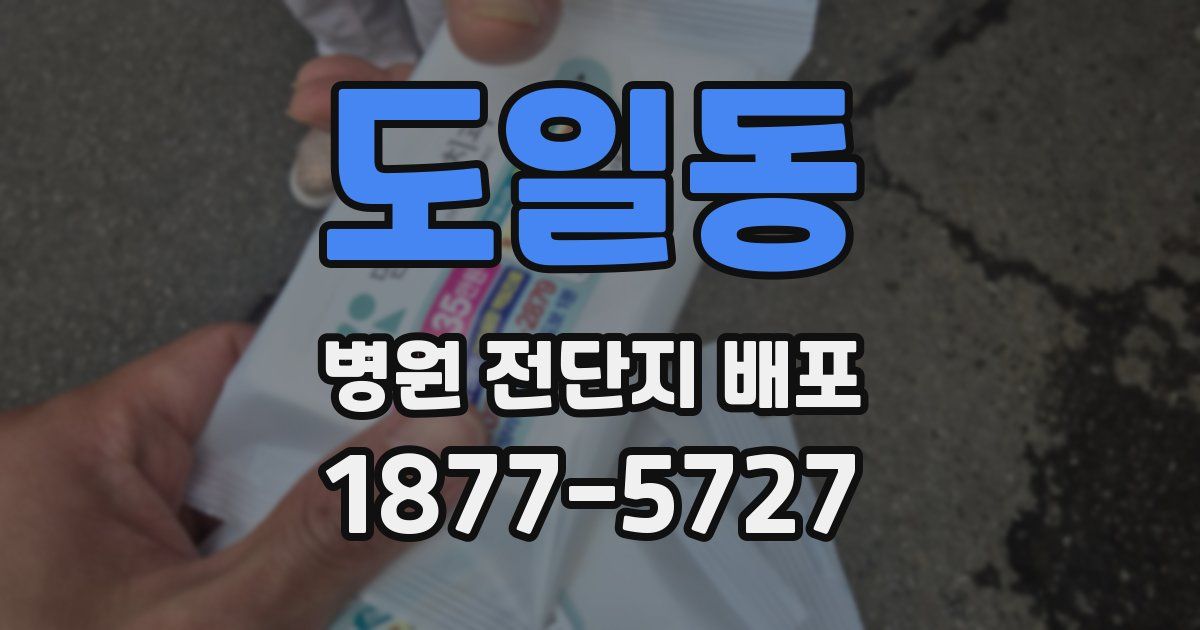 도일동 병원 전단지 배포