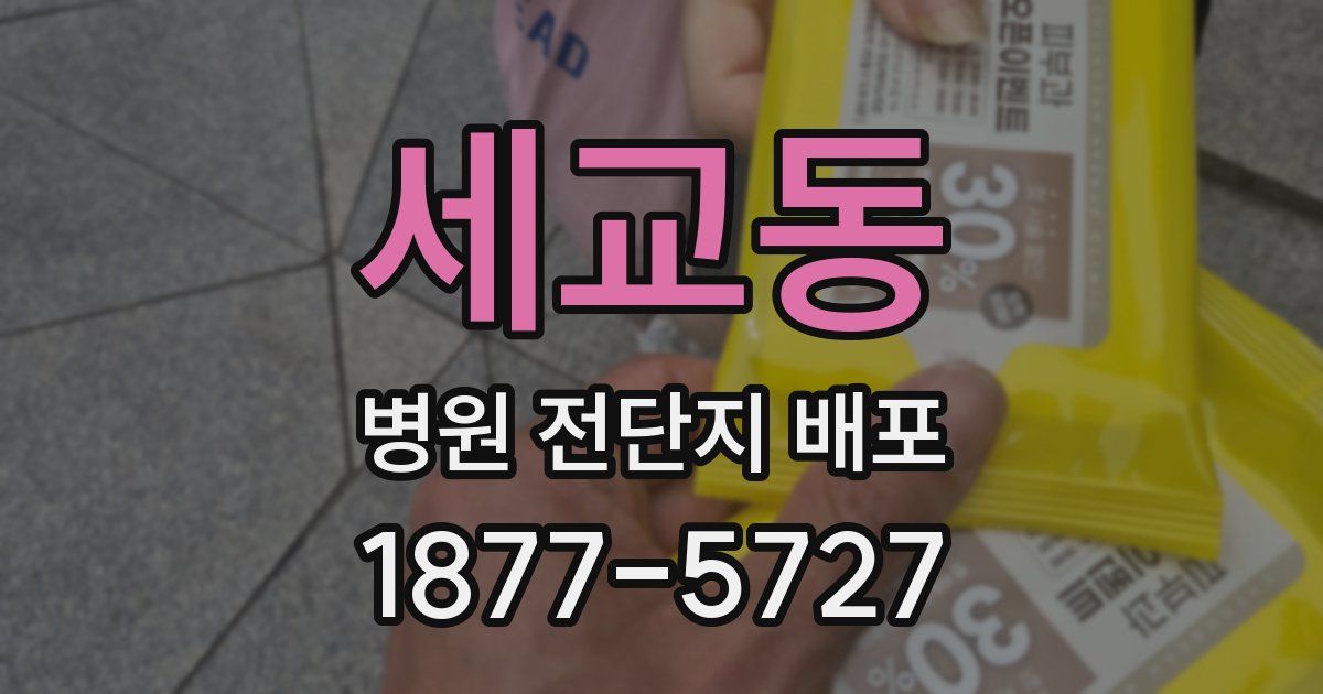 세교동 병원 전단지 배포
