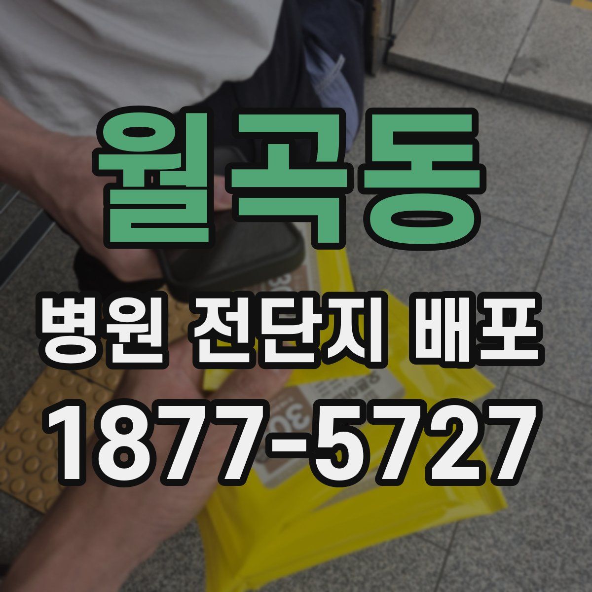 월곡동 병원 전단지 배포