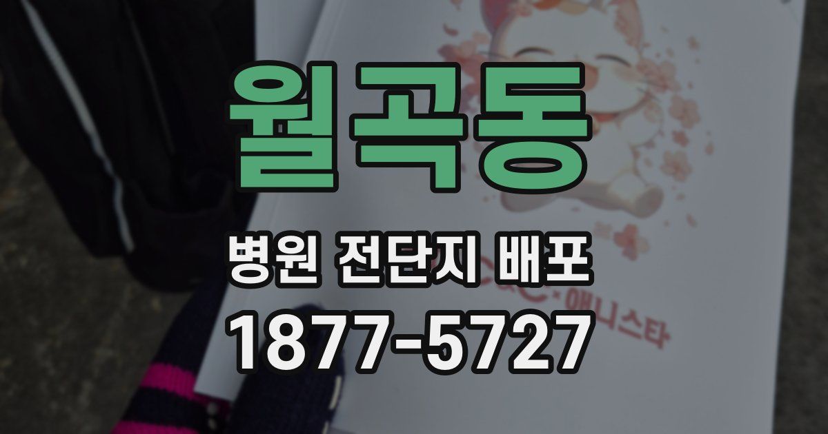 월곡동 병원 전단지 배포