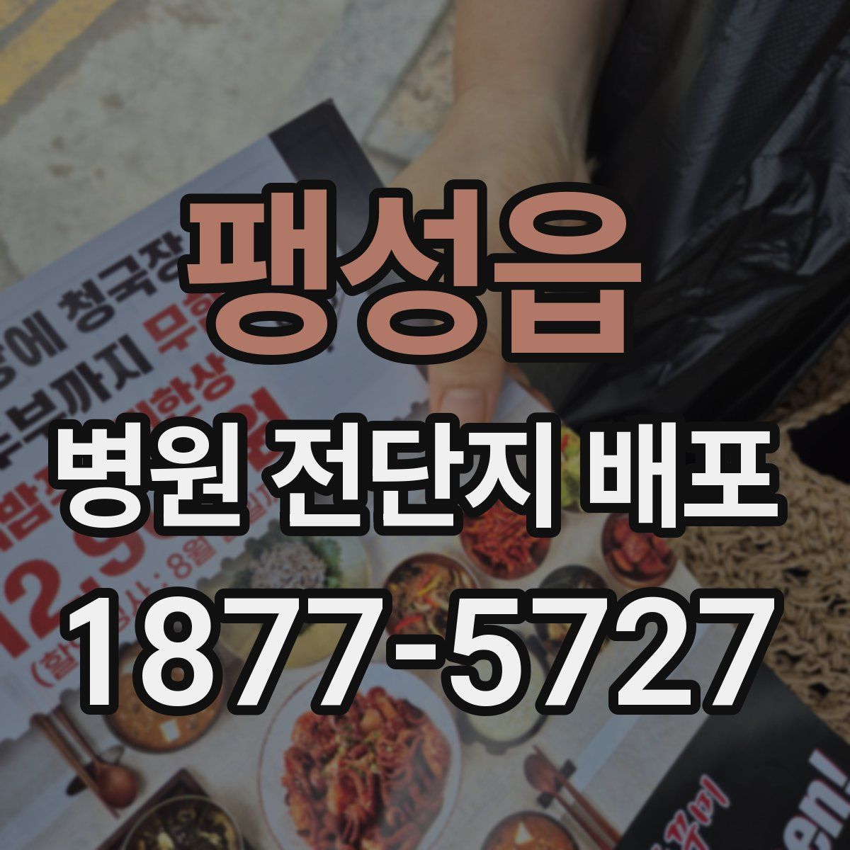 팽성읍 병원 전단지 배포