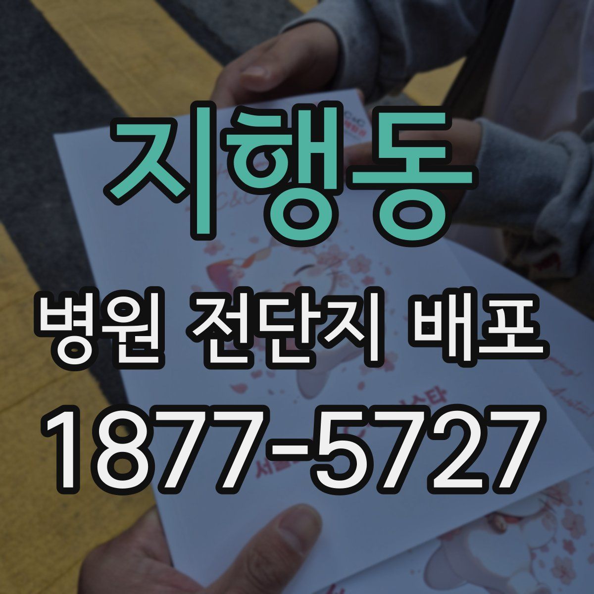 지행동 병원 전단지 배포