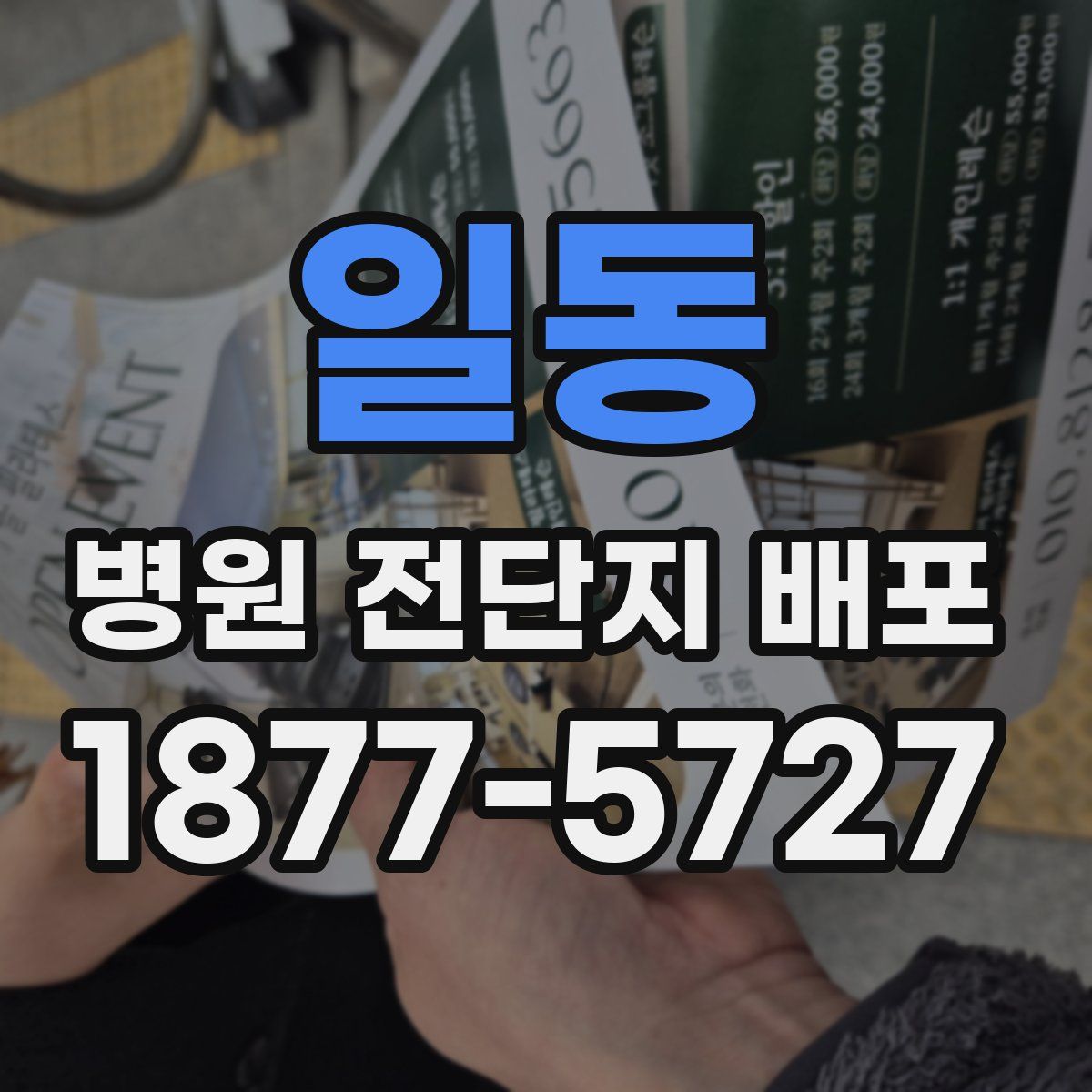 일동 병원 전단지 배포