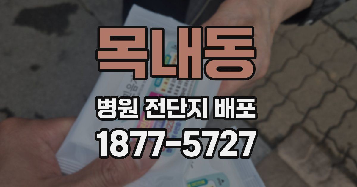 목내동 병원 전단지 배포