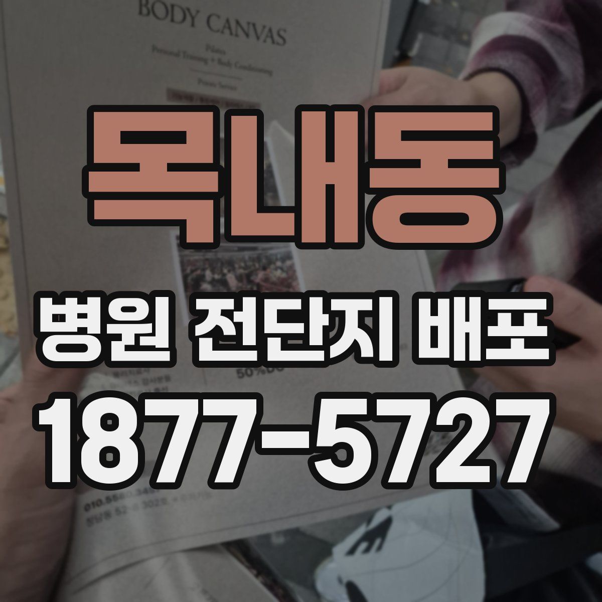 목내동 병원 전단지 배포