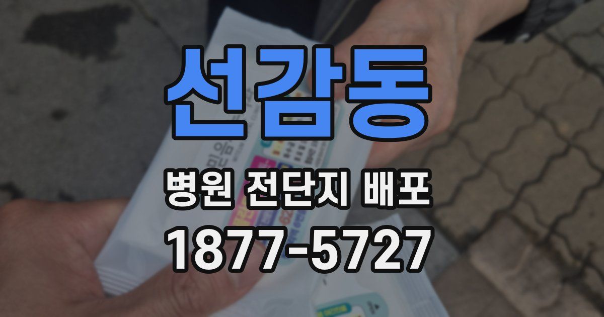 선감동 병원 전단지 배포